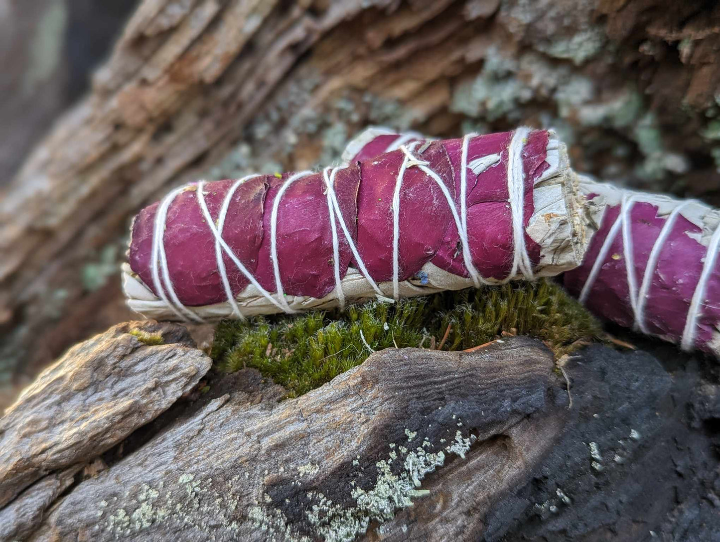 Rose with Blue Sage Bundle