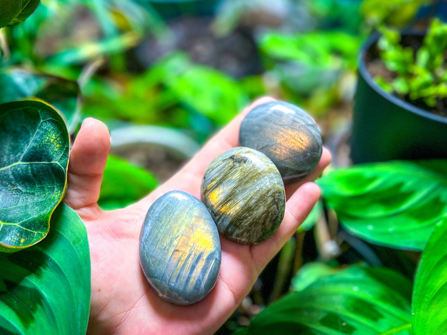 SUNSET Labradorite Palm Stone