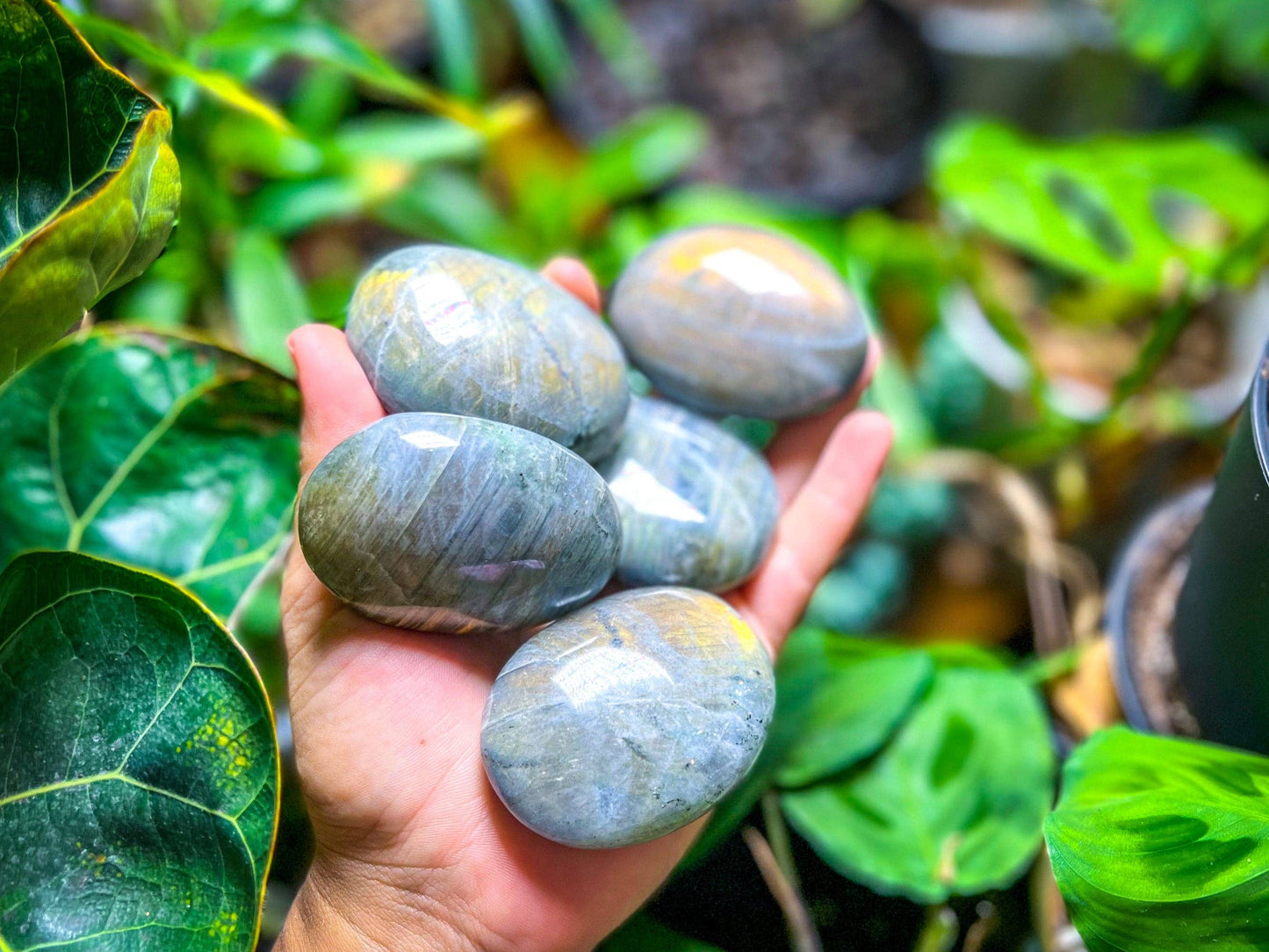 SUNSET Labradorite Palm Stone