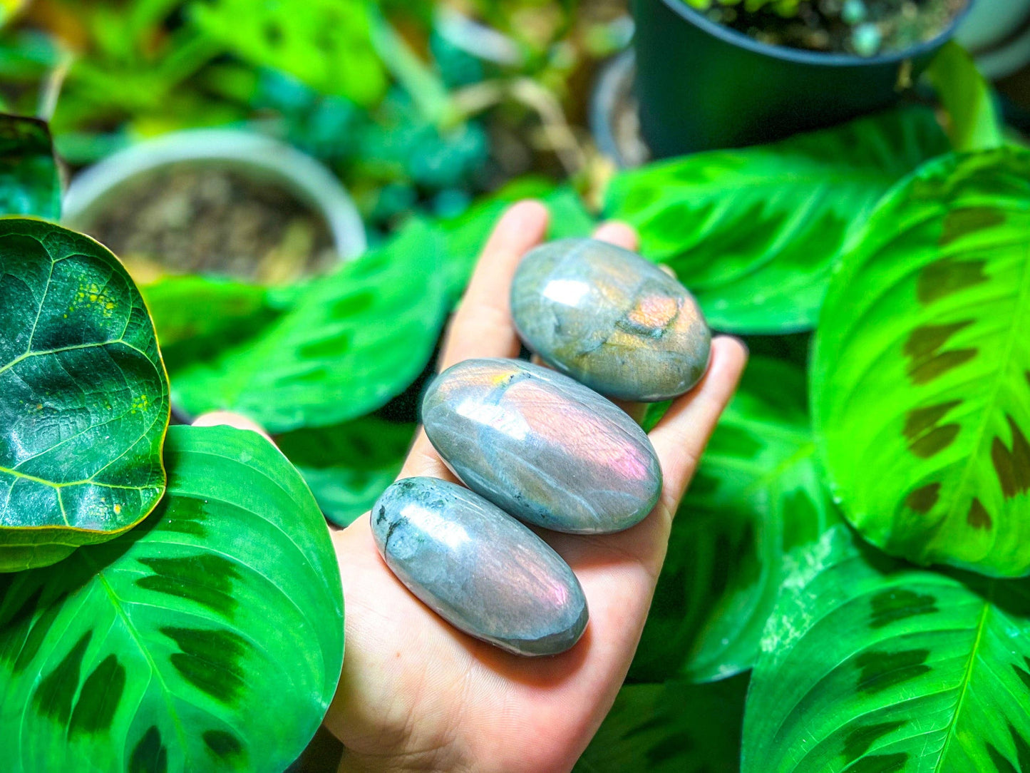 SUNSET Labradorite Palm Stone